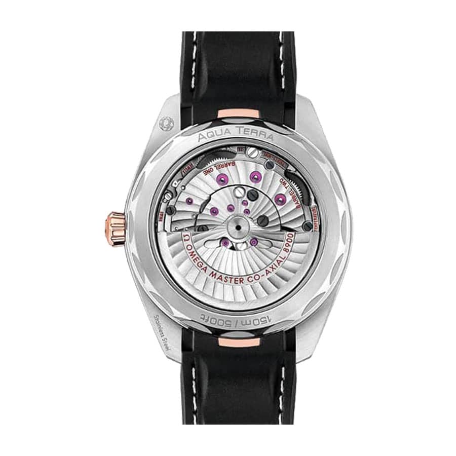 Omega Seamaster Aqua Terra 41MM 220.22.41.21.02.001