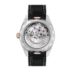 Omega Seamaster Aqua Terra 41MM 220.22.41.21.02.001