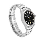 Omega Seamaster Aqua Terra 41MM 231.10.42.21.01.002