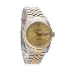 Rolex Datejust 36MM 126333 Yellow Rolesor