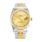 Rolex Datejust 36MM 116233 Champagne Dial