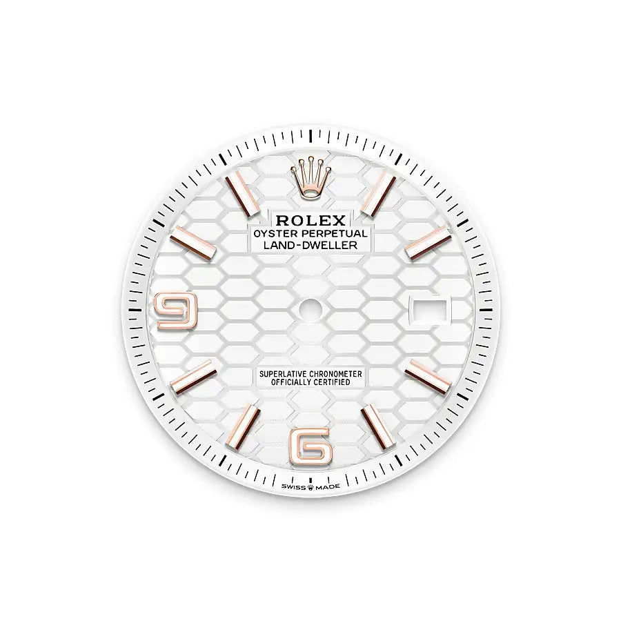 Rolex Land-Dweller 40MM M127335-0001 Everose Gold